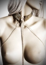 Désir golden mesh collar harness Désir métallique Bijoux Indiscrets